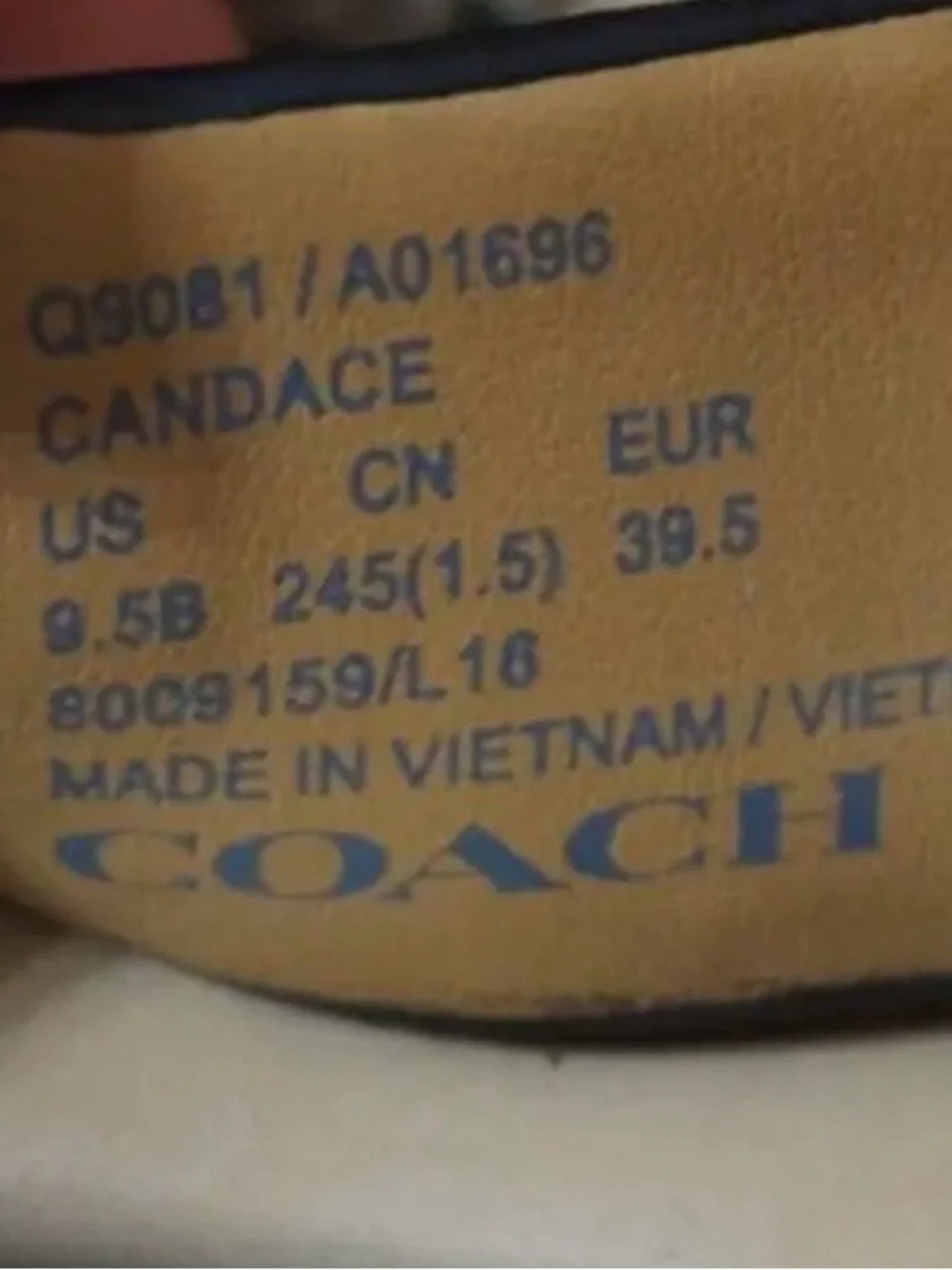 Coach Candice Turnlock Black Leather T-Strap Thong Sandal With Small Heal